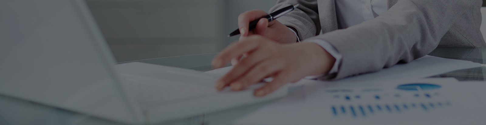 我們的服務(wù)